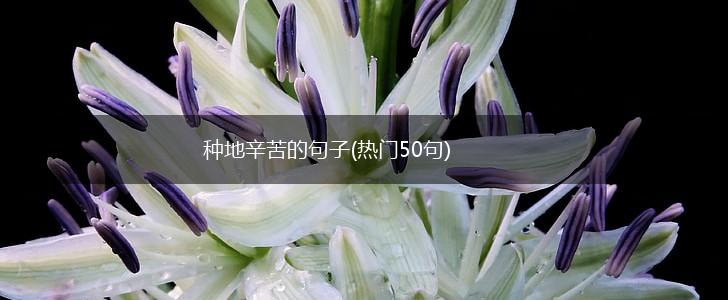种地辛苦的句子(热门50句),第1张