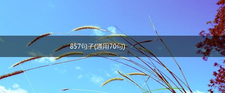 857句子(通用70句),第1张