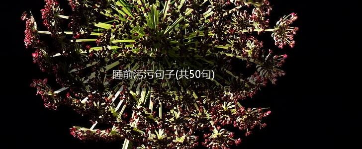 睡前污污句子(共50句),第1张