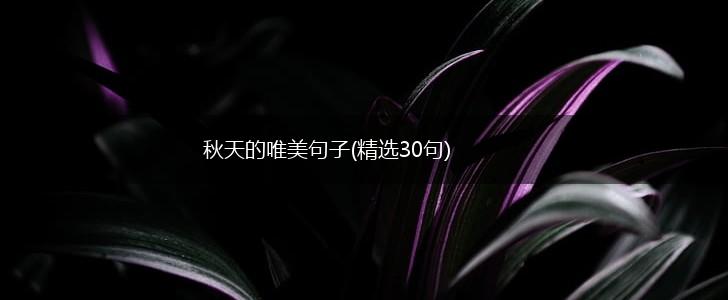 秋天的唯美句子(精选30句),第1张
