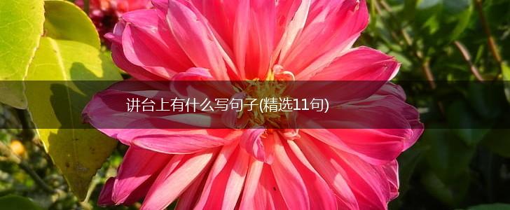 讲台上有什么写句子(精选11句),第1张