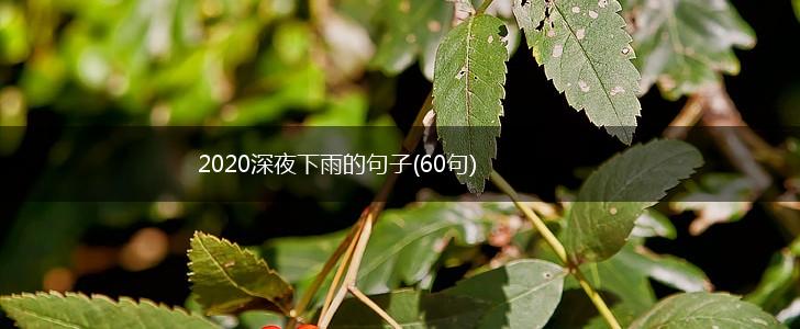 2020深夜下雨的句子(60句),第1张