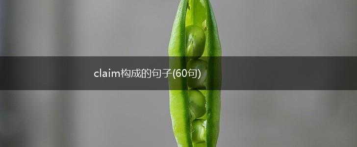 claim构成的句子(60句),第1张