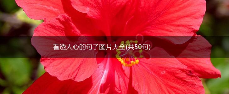 看透人心的句子图片大全(共50句),第1张