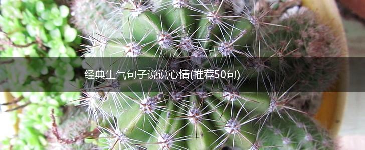 经典生气句子说说心情(推荐50句),第1张