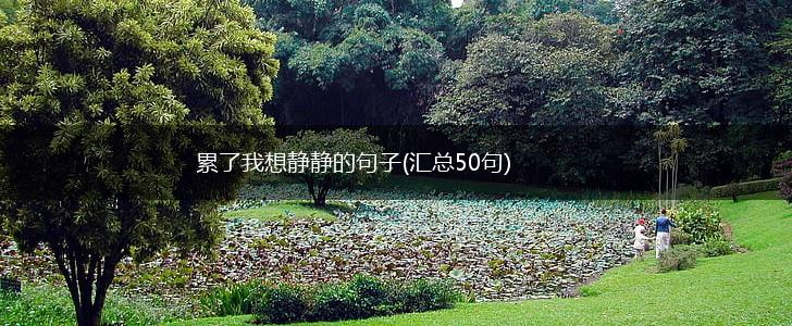累了我想静静的句子(汇总50句),第1张
