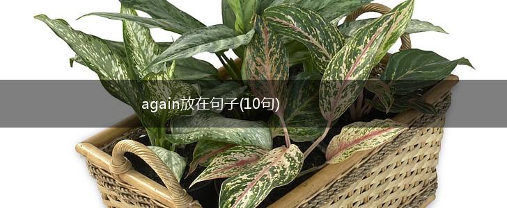 again放在句子(10句),第1张