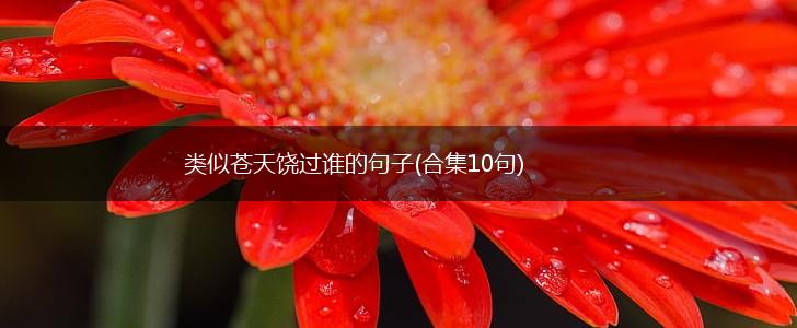类似苍天饶过谁的句子(合集10句),第1张