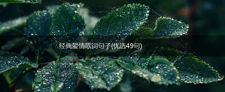 经典爱情歌词句子(优选49句),第1张