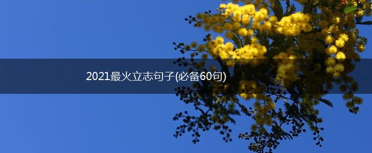 2021最火立志句子(必备60句),第1张