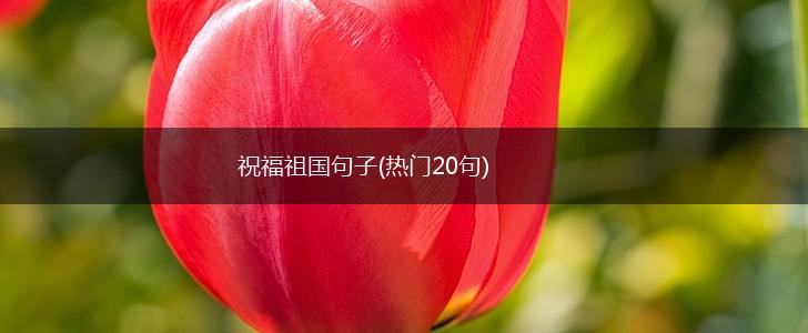 祝福祖国句子(热门20句),第1张