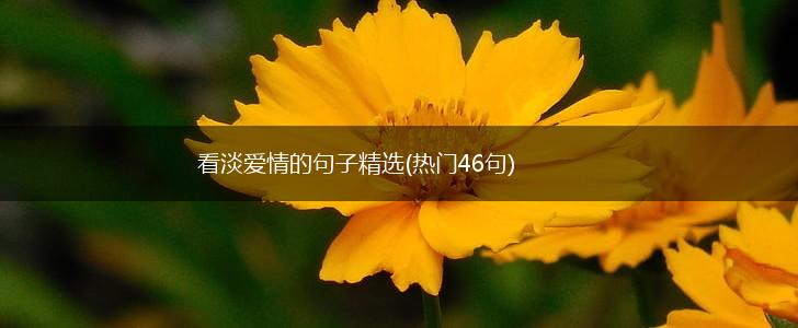 看淡爱情的句子精选(热门46句),第1张