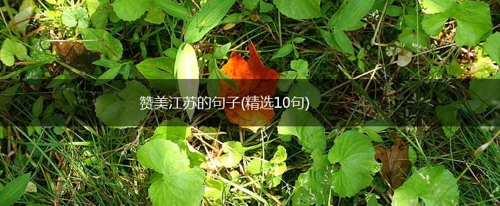 赞美江苏的句子(精选10句),第1张