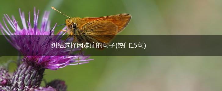 纠结选择困难症的句子(热门15句),第1张