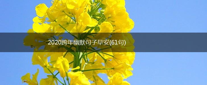 2020跨年幽默句子早安(61句),第1张