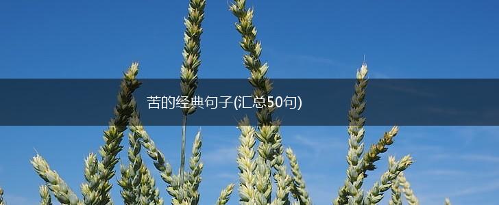 苦的经典句子(汇总50句),第1张