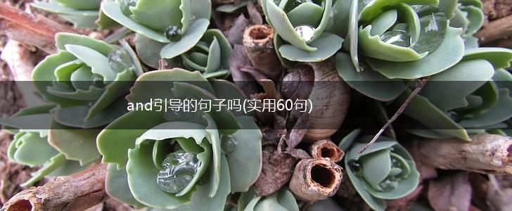 and引导的句子吗(实用60句),第1张