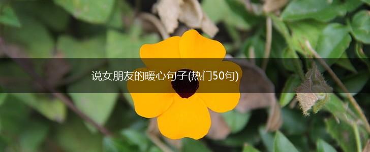 说女朋友的暖心句子(热门50句),第1张