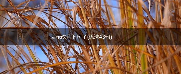 表示改正的句子(优选43句),第1张
