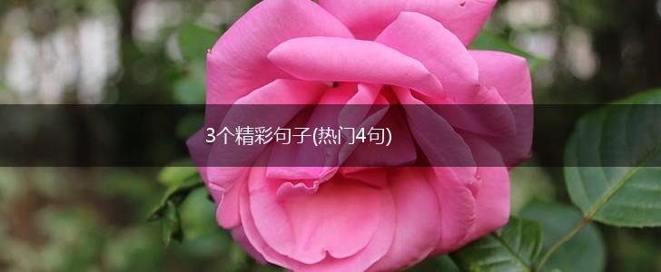 3个精彩句子(热门4句),第1张