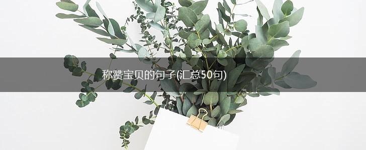 称赞宝贝的句子(汇总50句),第1张