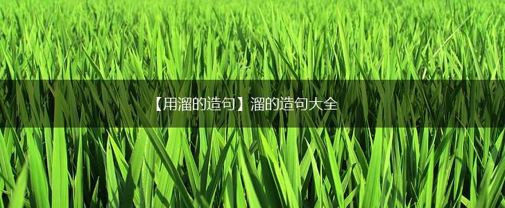 【用溜的造句】溜的造句大全,第1张
