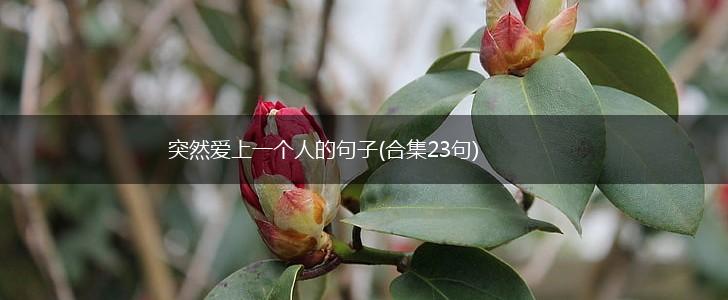 突然爱上一个人的句子(合集23句),第1张