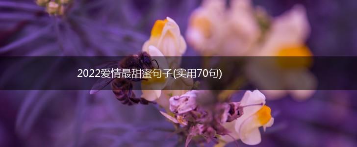 2022爱情最甜蜜句子(实用70句),第1张