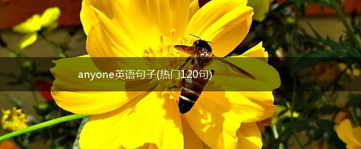 anyone英语句子(热门120句),第1张