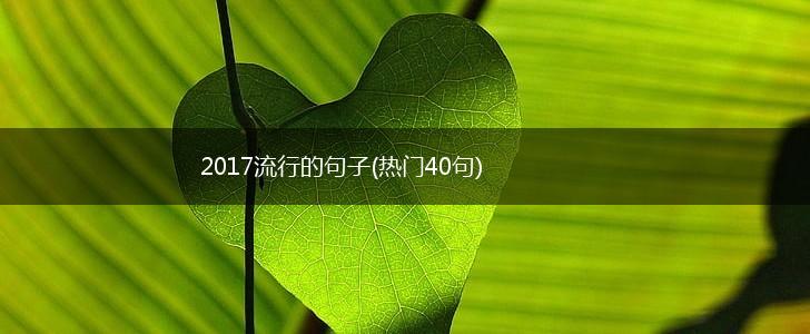2017流行的句子(热门40句),第1张
