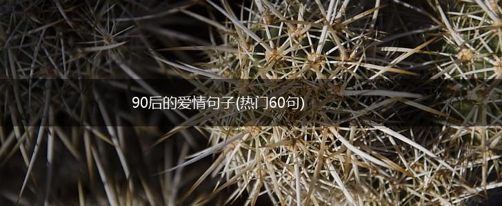 90后的爱情句子(热门60句),第1张