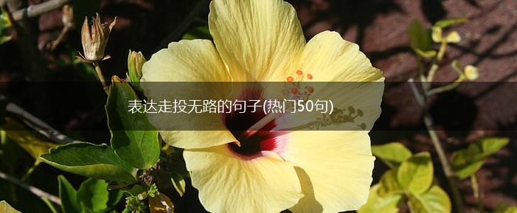 表达走投无路的句子(热门50句),第1张