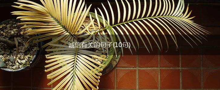 诚信有关的句子(10句),第1张