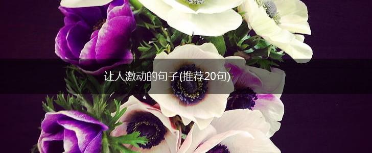 让人激动的句子(推荐20句),第1张