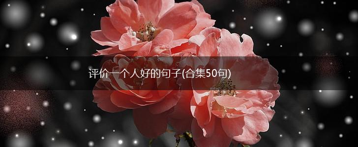 评价一个人好的句子(合集50句),第1张