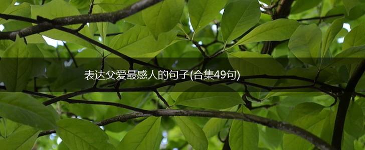 表达父爱最感人的句子(合集49句),第1张