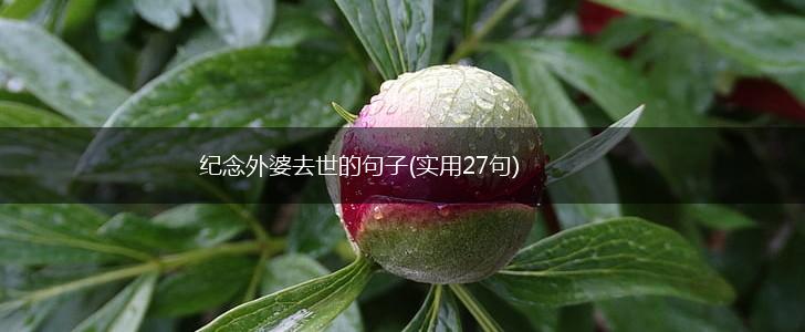 纪念外婆去世的句子(实用27句),第1张