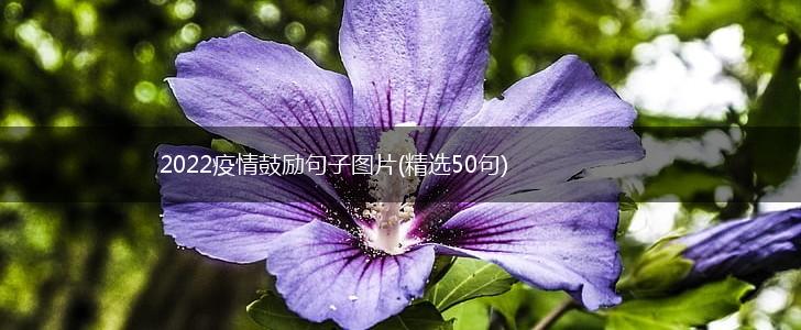2022疫情鼓励句子图片(精选50句),第1张