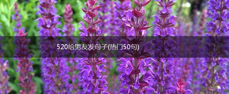 520给男友发句子(热门50句),第1张