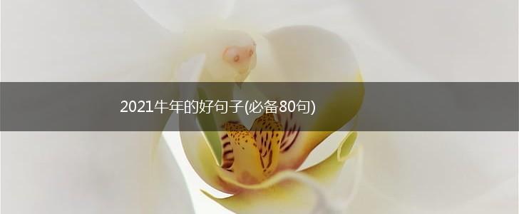 2021牛年的好句子(必备80句),第1张