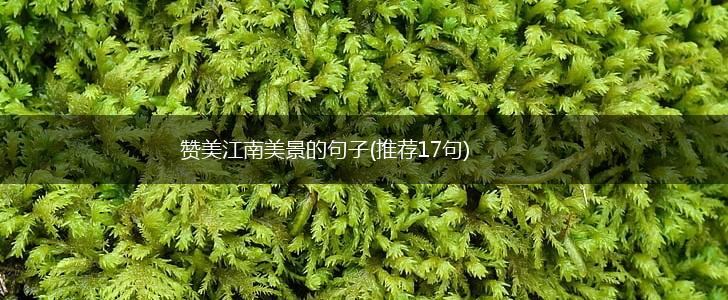 赞美江南美景的句子(推荐17句),第1张