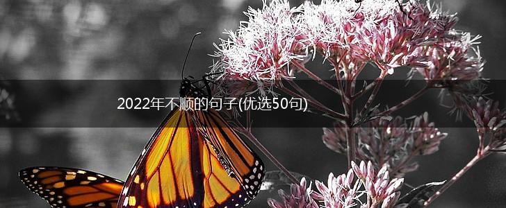 2022年不顺的句子(优选50句),第1张