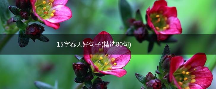 15字春天好句子(精选80句),第1张