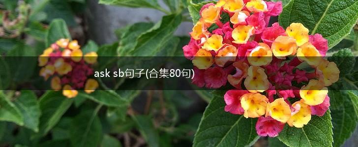 ask sb句子(合集80句),第1张