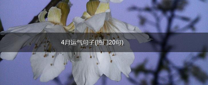 4月运气句子(热门20句),第1张