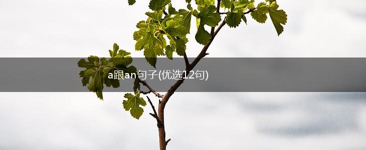 a跟an句子(优选12句),第1张