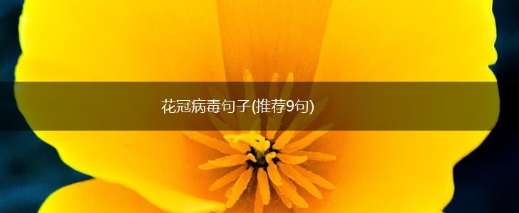 花冠病毒句子(推荐9句),第1张