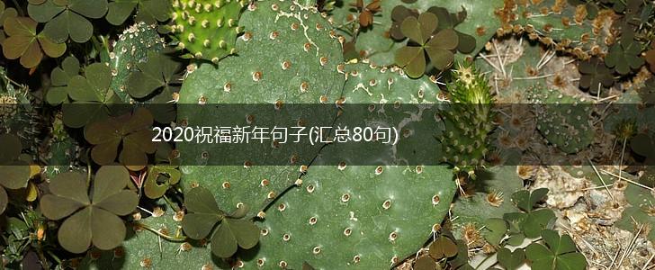 2020祝福新年句子(汇总80句),第1张
