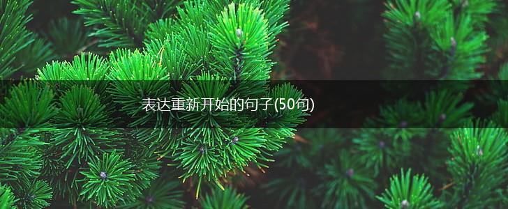 表达重新开始的句子(50句),第1张