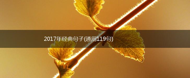 2017年经典句子(通用119句),第1张
